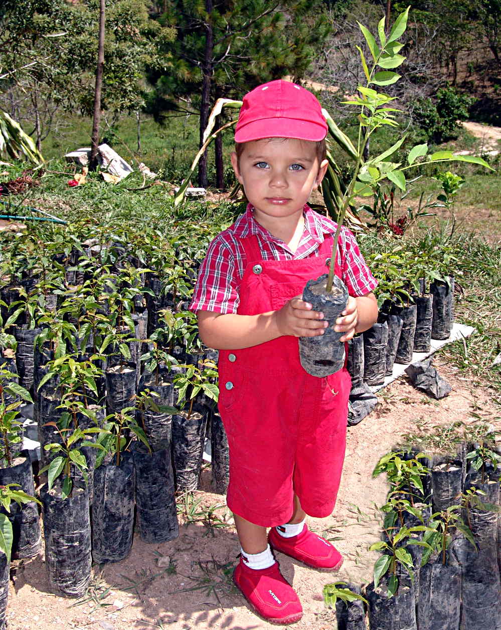Baby Boy with Baby Treee