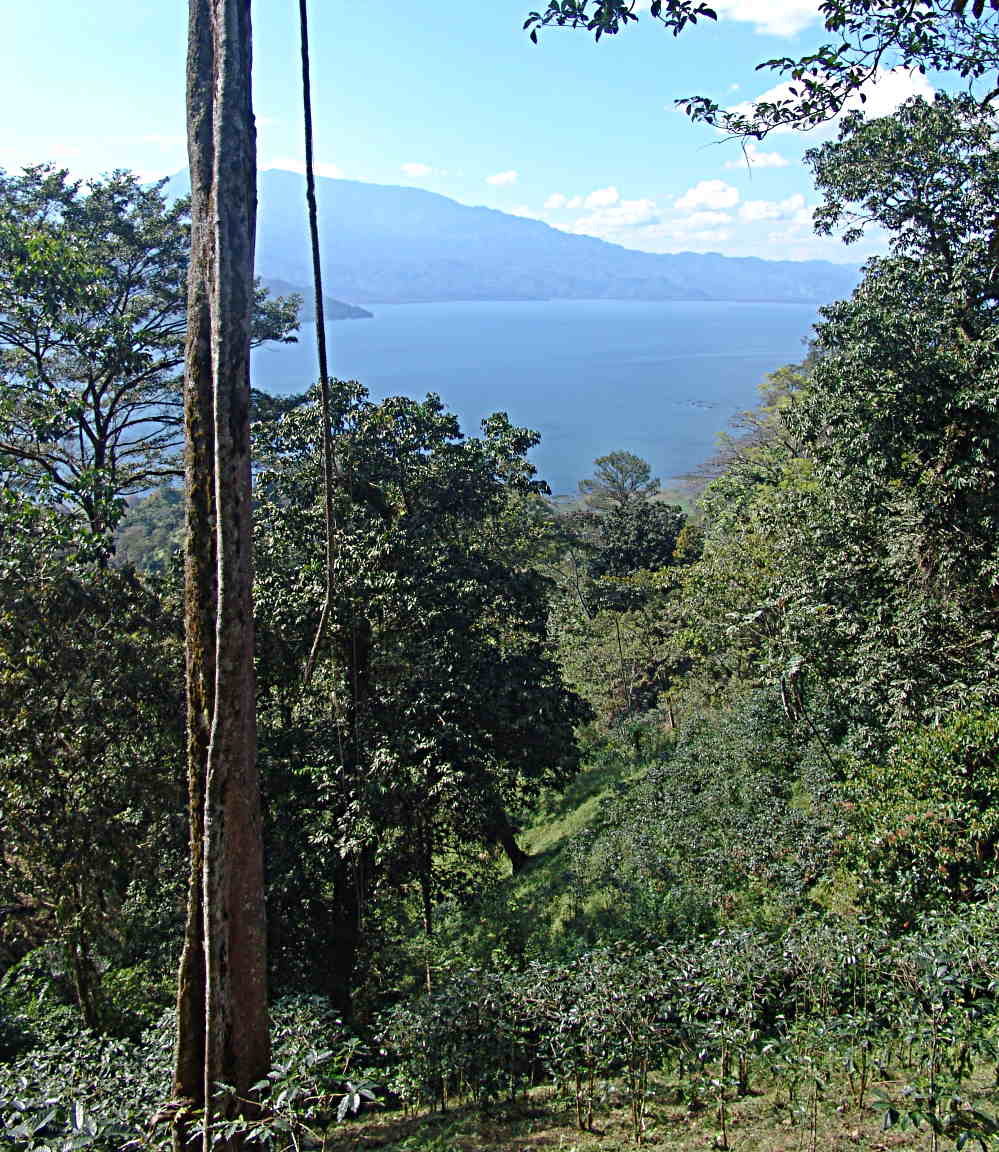 Lake from half way up hill