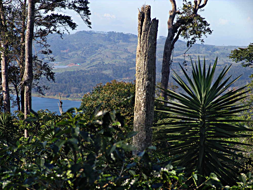 Looking North Near peak