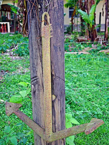 anchor