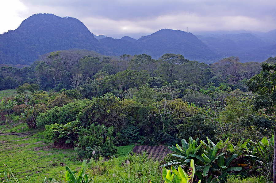 Distant Mountains