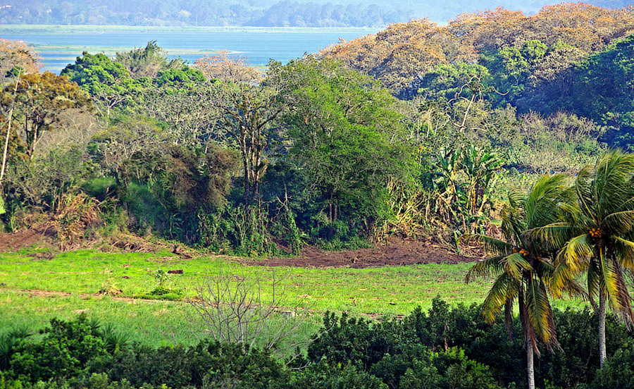 Distant Lake