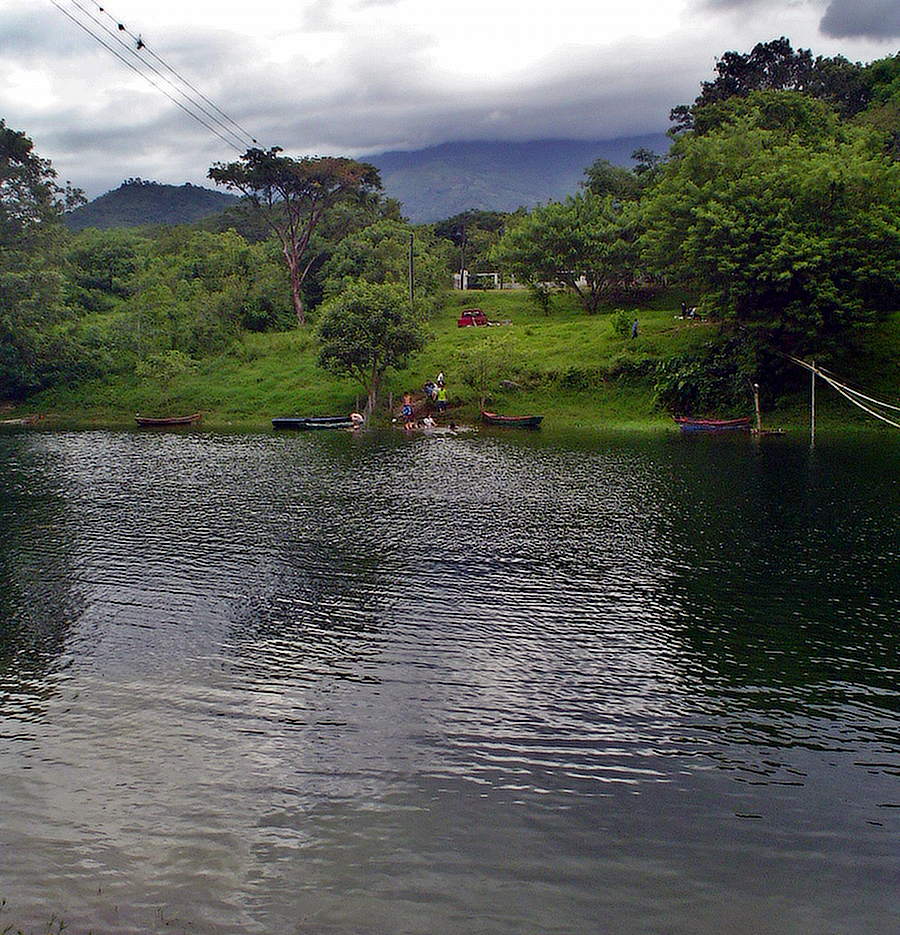 view from lake