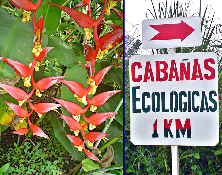 Flowers+Sign