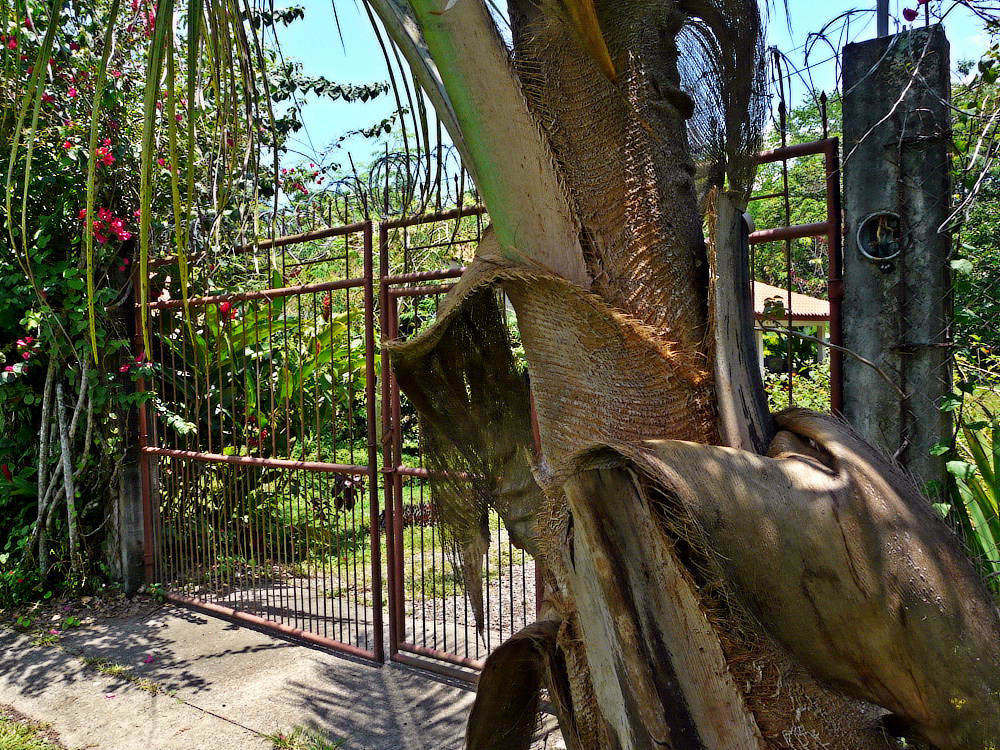 Foto-00