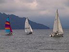 50917a52.jpg