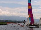 50917b02.jpg
