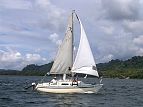 50917b82.jpg