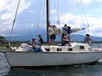 50917c19.jpg