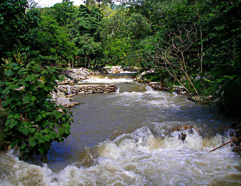 View from the Bridge