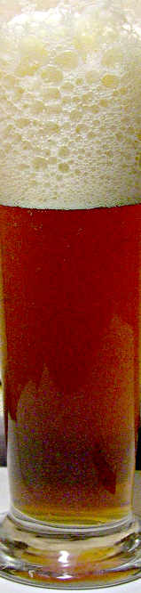 Long Tall Ale