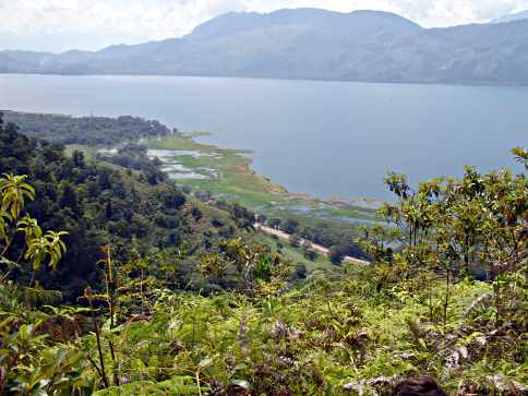 HiLot61