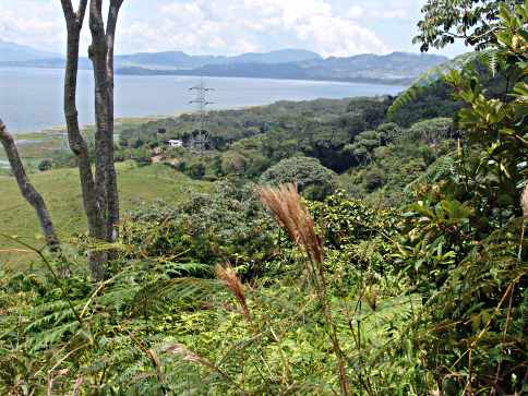 HiLot51