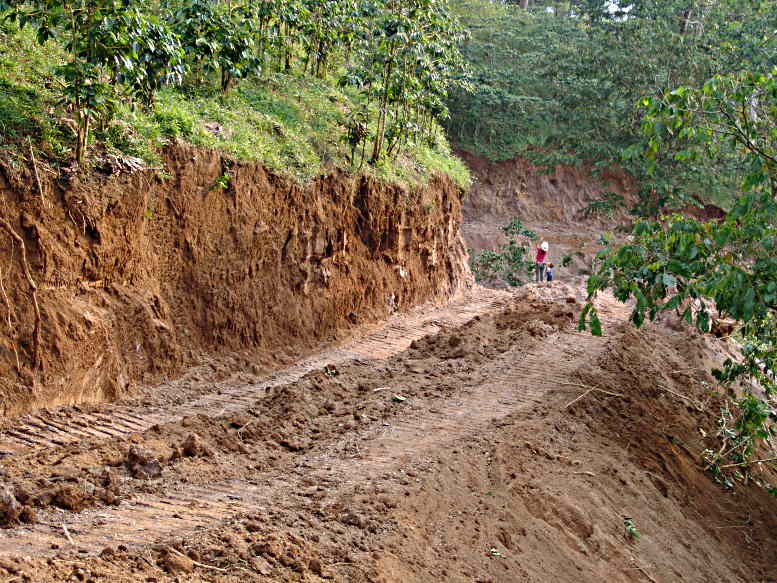 Land most Fertile
