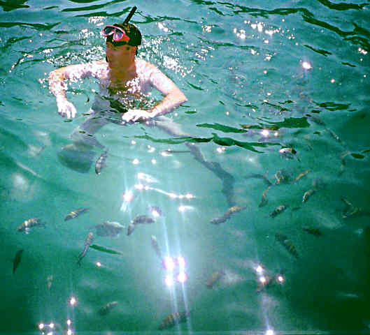 DPM swunnubg with fish