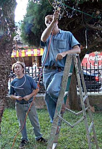 DPM checking out tree!